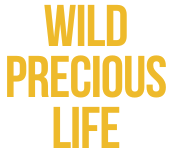Wild Precious Life Therapy
